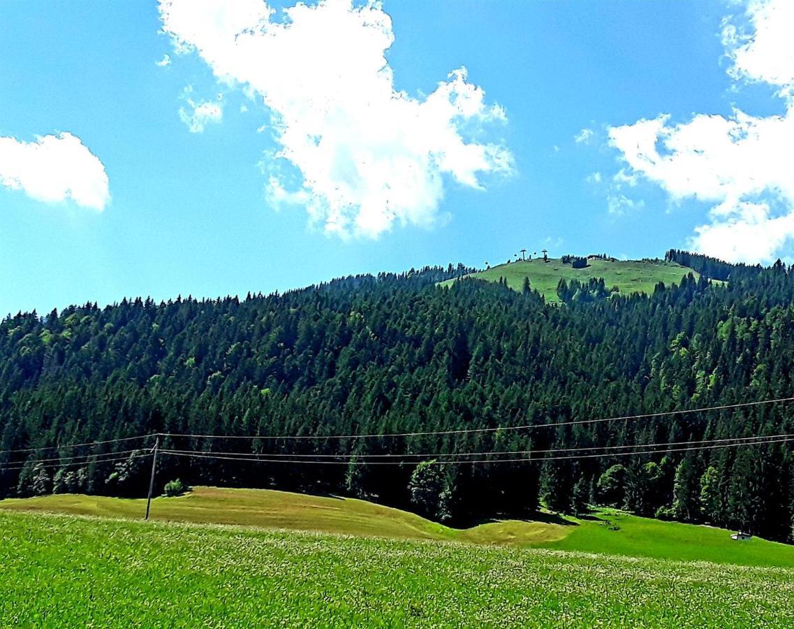 Ferienwohnung Ager-Bucher Ellmau Bagian luar foto